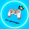 bro_gaming01