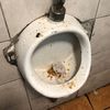 ahoracompromarlboro