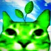sugarcat999