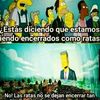 dukpastion