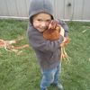 nathanreigle
