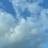 wpdptgpjpt