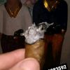 el.hijo.de.dios7202