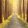lesstravelledby