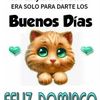 amparito28