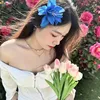 HT Tường vi 🌈⚡