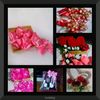 mayaganicraft_hantaran