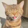 heynjls