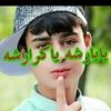 amjadnadan25