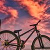 bike_tyler