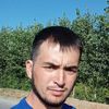 alik08294