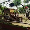 wis.tiktok