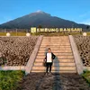 tjinnio