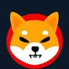 shibacoin2024