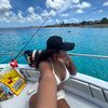 measzn_