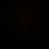 alexander_12mx