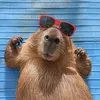 fbhuyyphan.vn