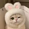 olmusic_