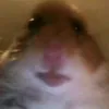 markadar_333