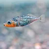 ポケット水族館
