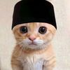 ramadhan2024kucing