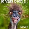 mylou95