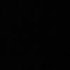whoiz_qp
