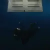 x__xowo