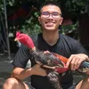 Gà Chọi Tuấn Cận 4