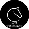 cristianchesstok