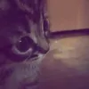 pororomayxd