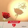 veyselerler
