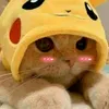 .gatomiau0