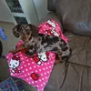 marialuisabetanco67