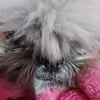 mikaeli78958