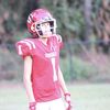 bradyt_1
