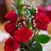 claudiahanna775