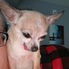 taco_n_bella