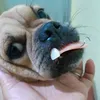 lqrcwlng
