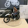 jefry6731