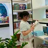 bedung_201