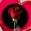user8393425648805