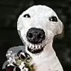 s0phi4izr3adyfortheworld