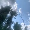 GoodVibes247
