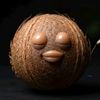 puerto_rican_coconut