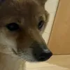 m_.xuy