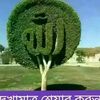 nabialam086