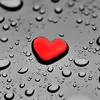 waseemprince313