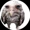 chakowkow