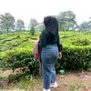 mnaufal212